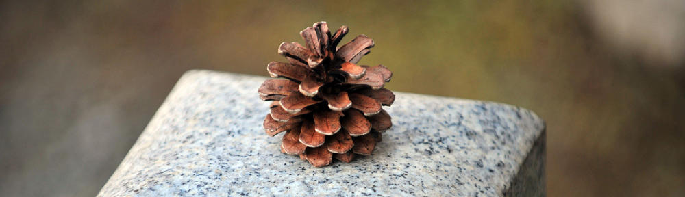EsCartagena