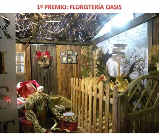 Floristería Oasis gana el II Concurso Navideño de Escaparates