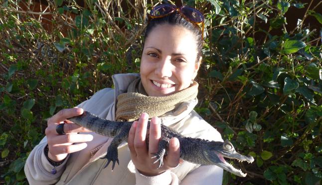 Entrega un caiman en Terra Natura