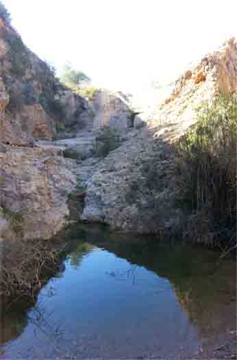 La Fuente Vieja